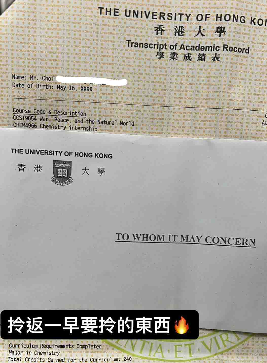 港大化學系實習研究工作